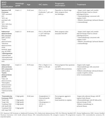 State of the art of cervical cancer treatment in rare histologies